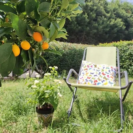 Desites Holiday home Piedimonte Etneo